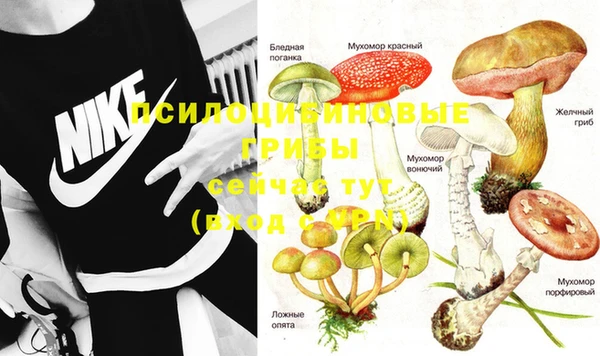 кристаллы Кинешма